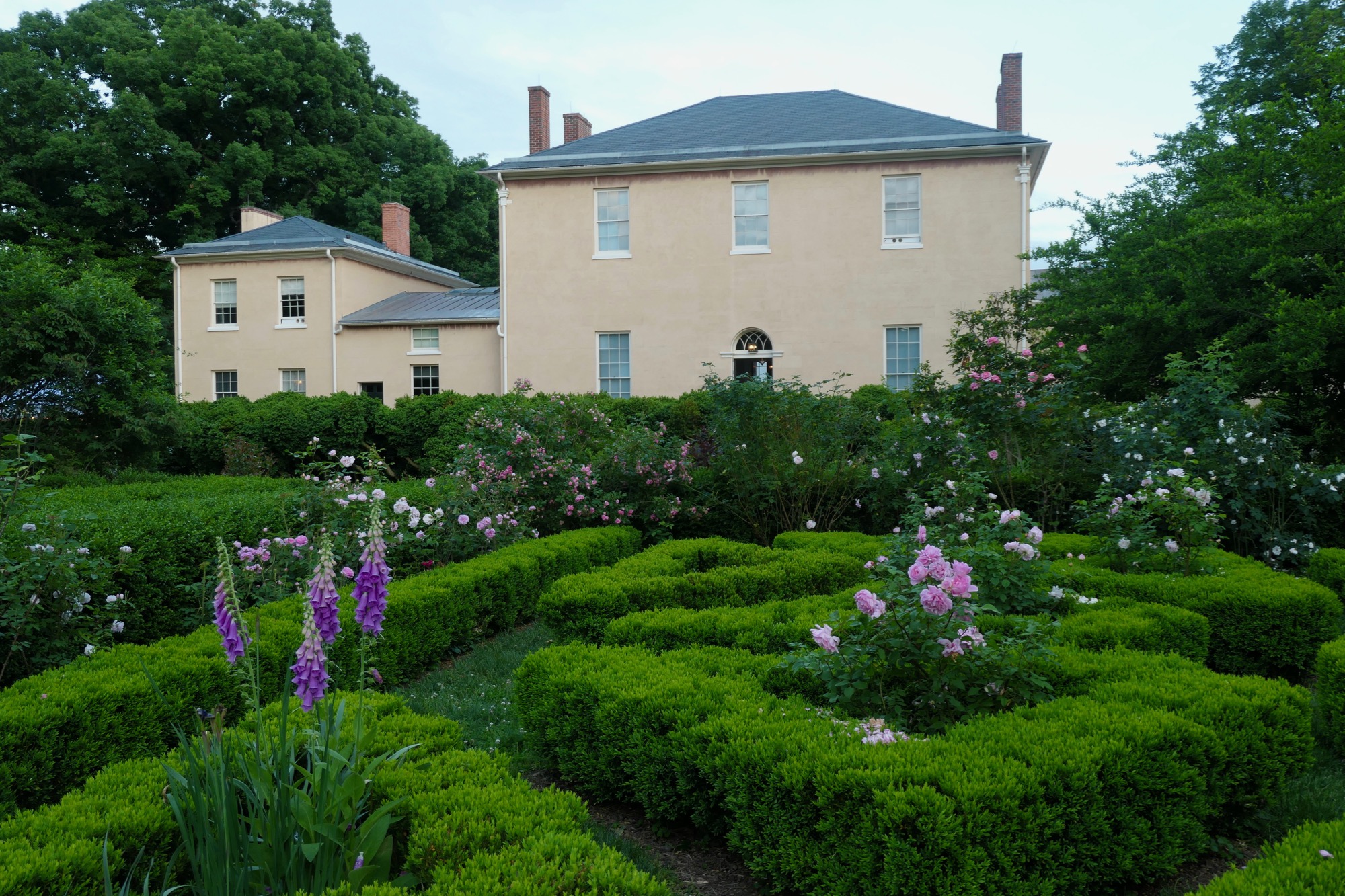 Tudor Place Rose Garden  Photo by Judith Beermann