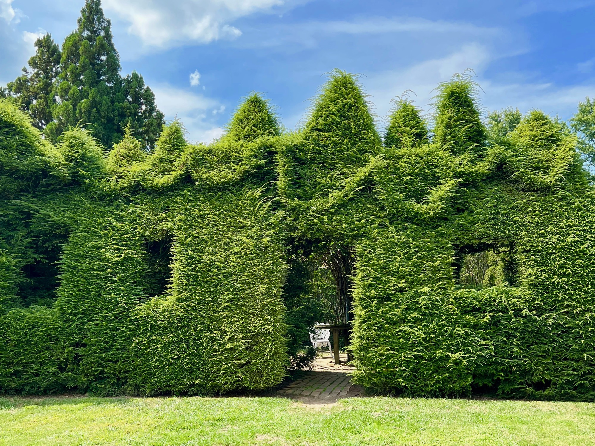 A Visit to Ladew Topiary Gardens | The Georgetown Dish