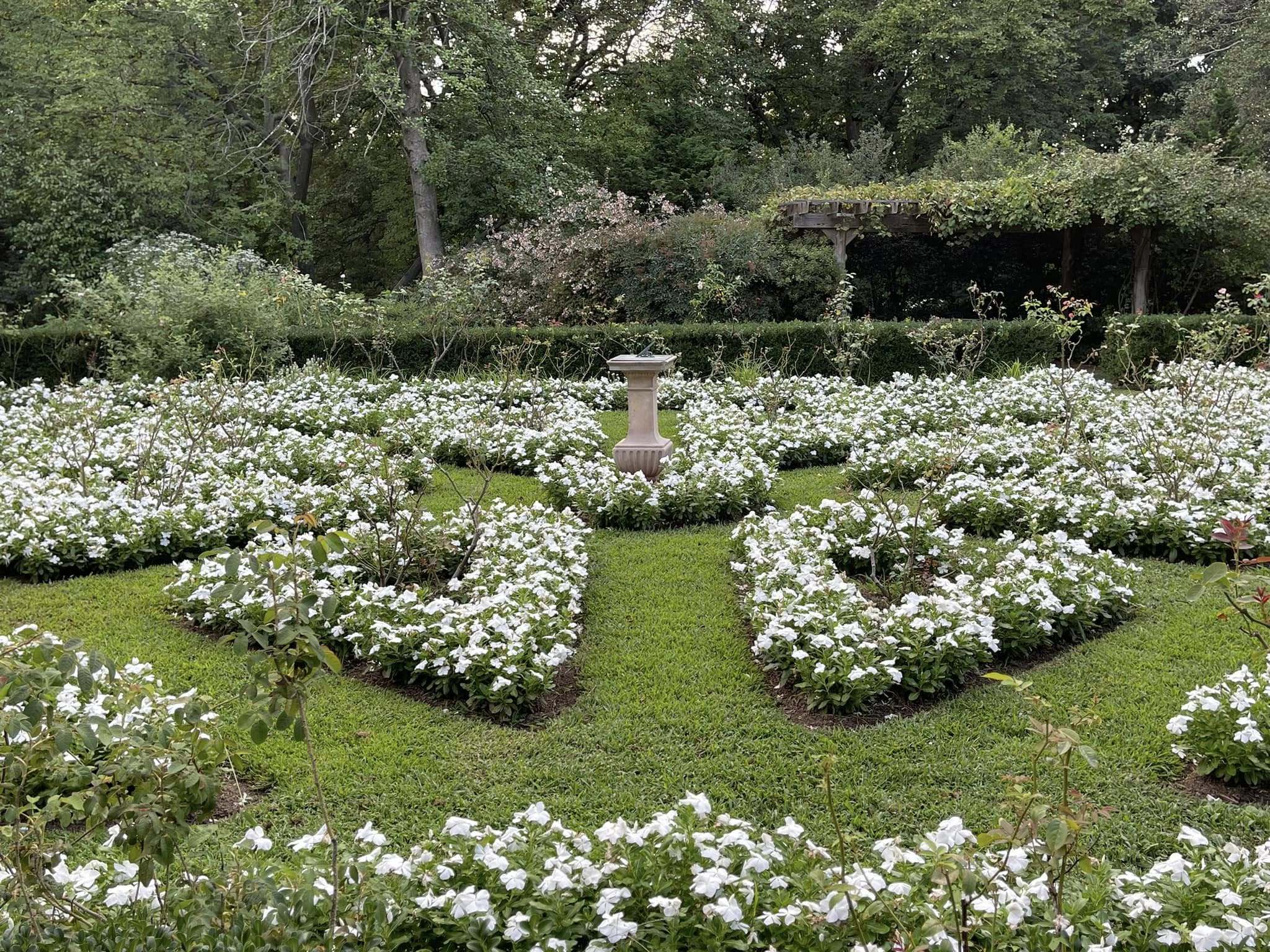 Georgetown Garden Tour