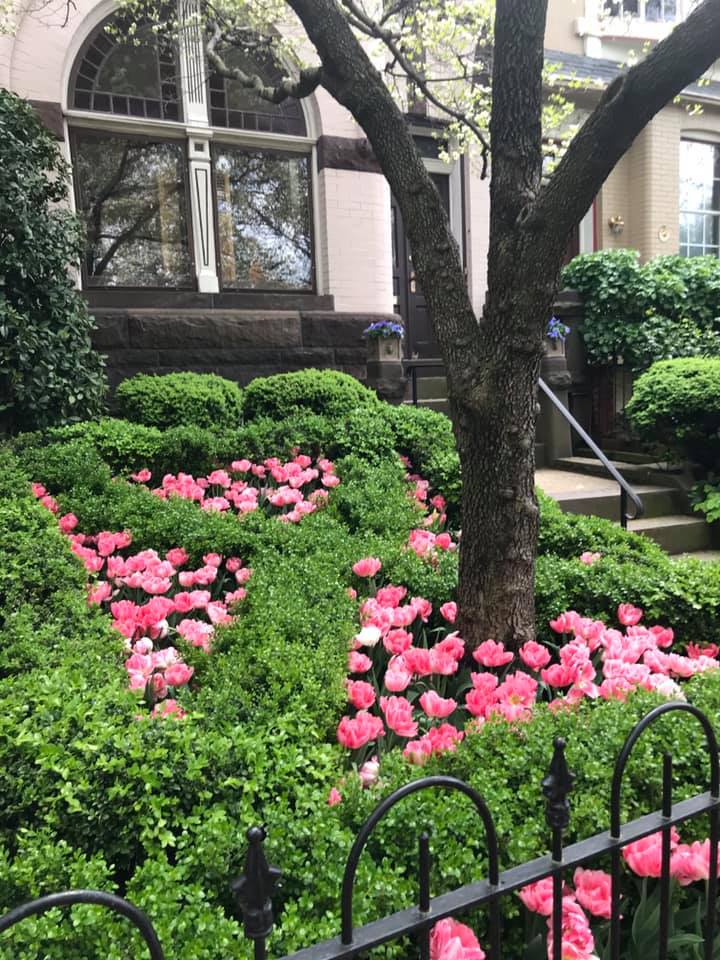 Georgetown Garden Club