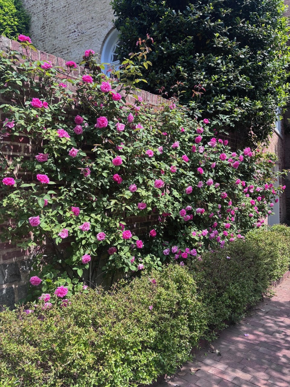 Garden Tour