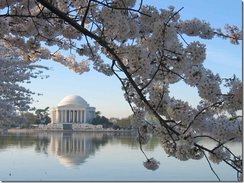jefferson-memorial-at-cherry-blossom-time