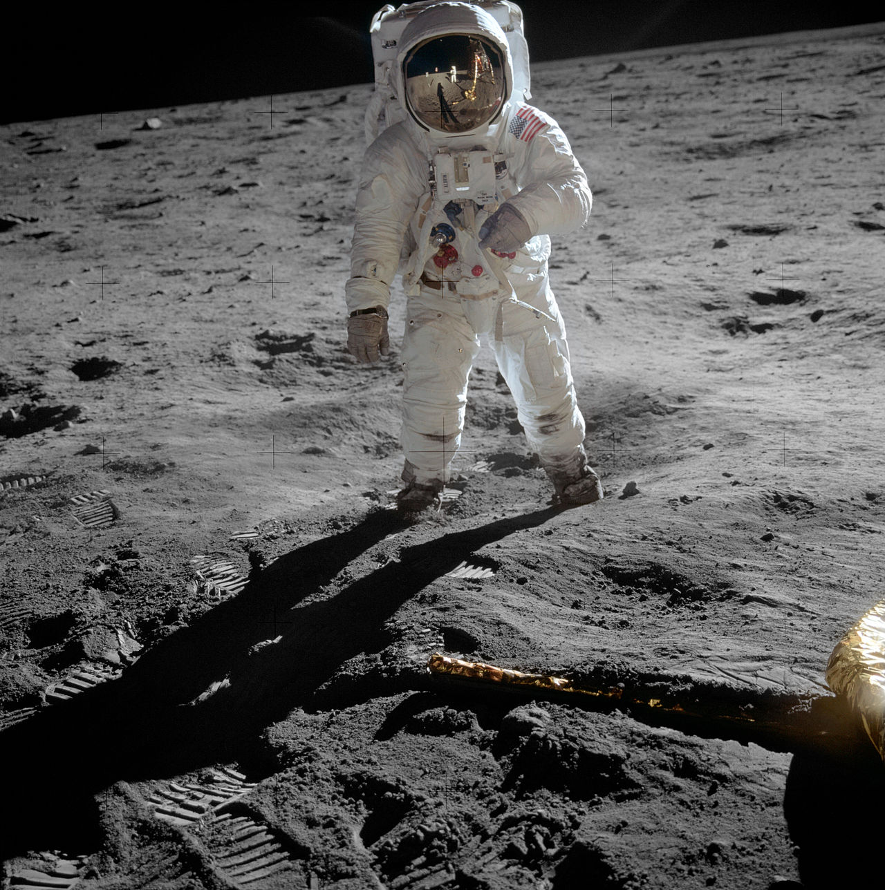 Astronaut Buzz Aldrin lands on the moon