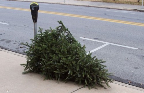 Leave your Christmas trees on the sidewalk from now until January 14th so they can be recycled.