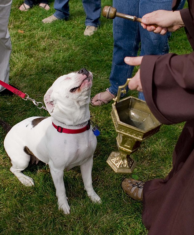 The blessing of a pet dog