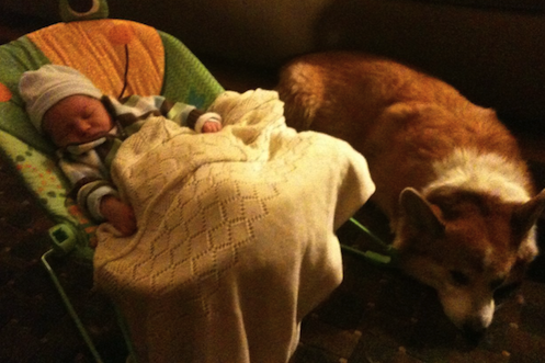 André Charles Newburg, 9 days old, and his new best friend, Yogi