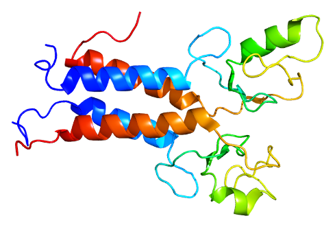 Protein BRCA1