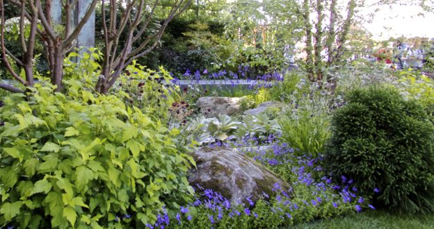 Violets and iris in the Brewin Dolphin Garden.