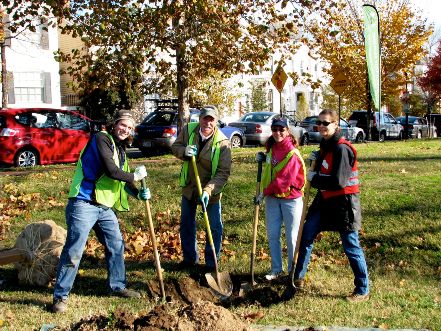 Tree planting in Rose Park