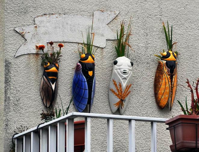 Cigales wall vases