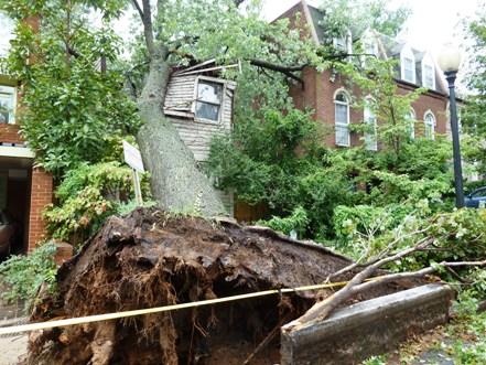 A tree fell during Hurricane Irene, crushing most of the home&#039;s second story.