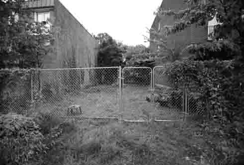 Urban Archaeology Corps interns cleared brush from the vacant lot Monday.