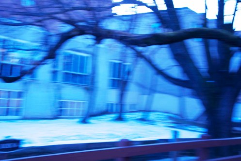 From the triptic Canal Blue Trees Freeze