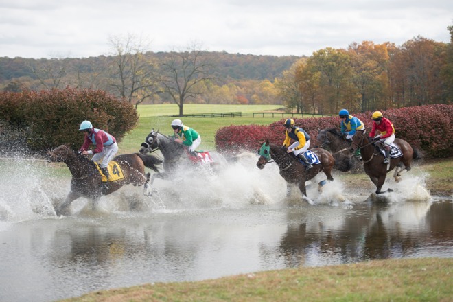 78th Gold Cup at Great Meadow