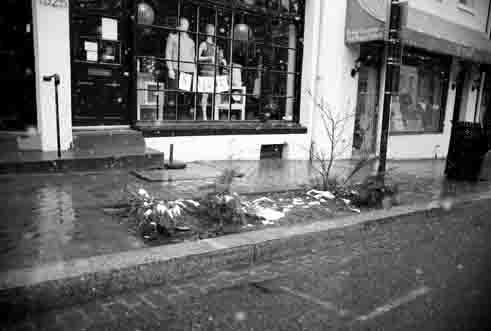 Several tree boxes along Wisconsin Avenue and M Street are empty because trampled dirt harmed the trees&#039; health.