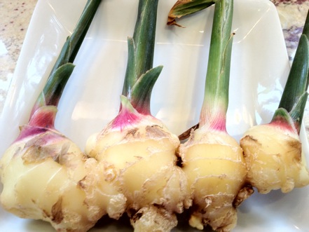 Fresh Ginger from Fresh Farm Market at Dupont Circle