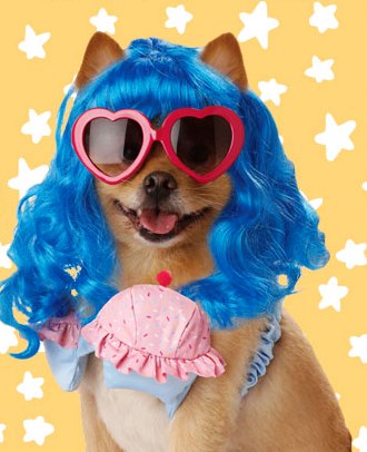 Cupcake Girl Dog Costume