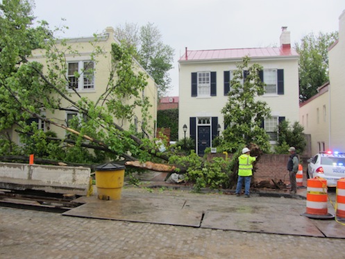 A truck takes down a tree early Monday morning, and leaves the scene.