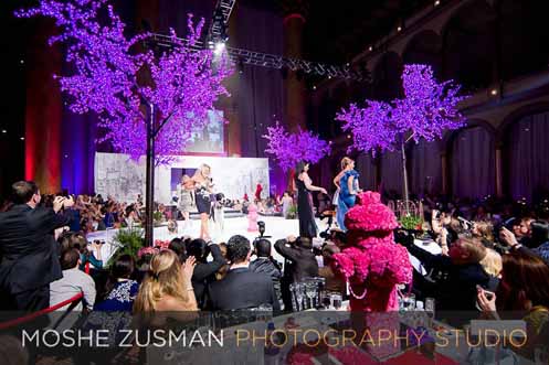Fashion for Paws runway show finale