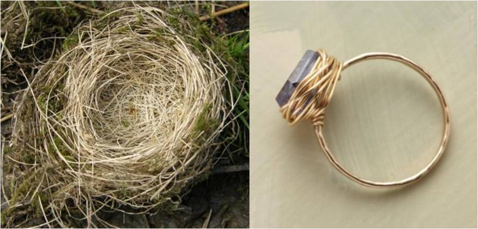 The simple beauty of a bird&#039;s nest finds its way to jewelry
