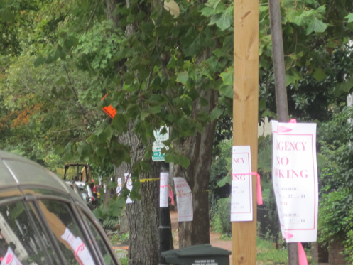 No parking signs line blocks in Georgetown