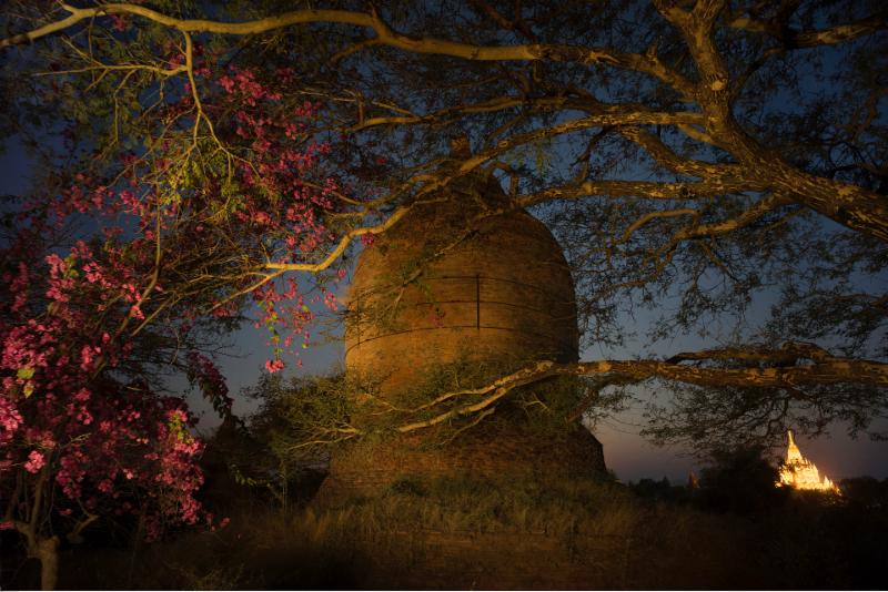 Pagoda #3, 2014 by Frank Hallam Day