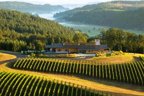 Lynn Penner Ash Winery on the Ribbon Ridge of the Willamette Valley in Oregon