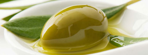 Olive Oil