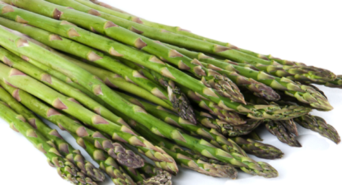 Fresh Asparagus