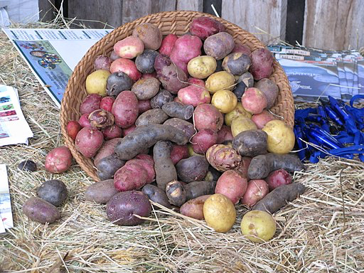 Potatoes now come in a variety of colors