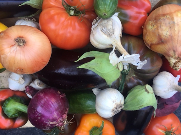 Vegetables for Nora&#039;s Ratatouille Recipe - Found at Twin Springs Fruit Farm in Ortanna, PA (90 Miles From DC)