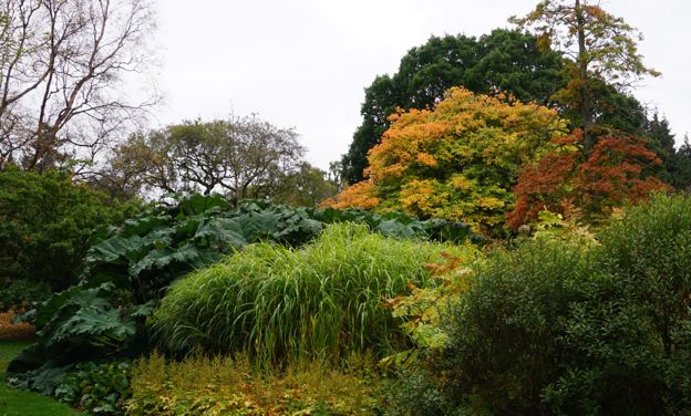 The Royal Botanic Garden in Edinburgh, Scotland.