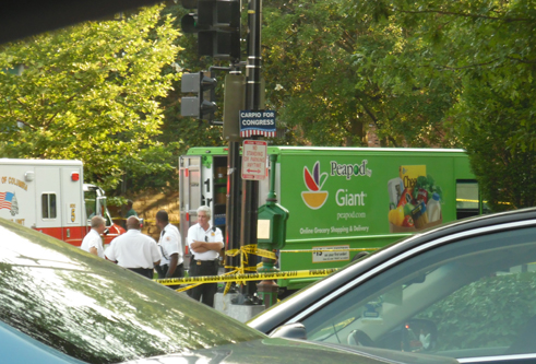 A Peapod delivery truck making a right turn fatally struck a pedestrian attempting to cross the street Thursday evening.