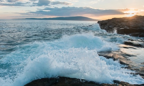 Schoodic Penninsula in Acadia National Park