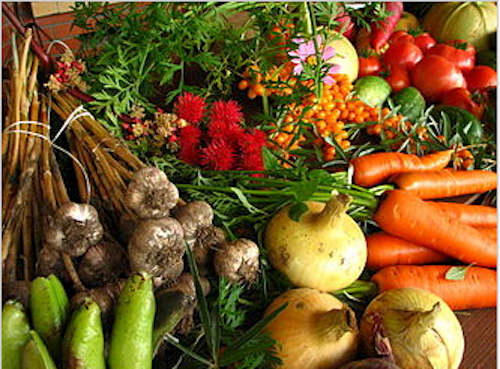 Organic Vegetables at a Farmers&#039; Market