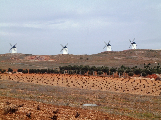 ICRDO La Mancha