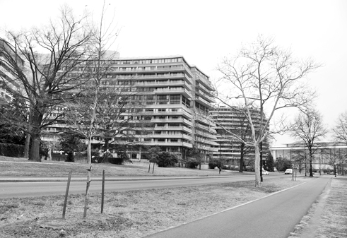 Watergate residents fear the new trees will eventually block views.