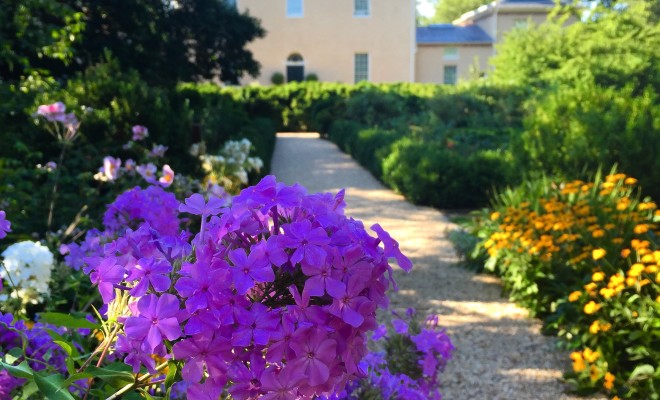 Tudor Place garden