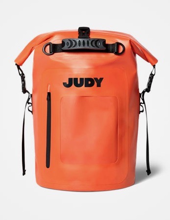 get.readyjudy.com