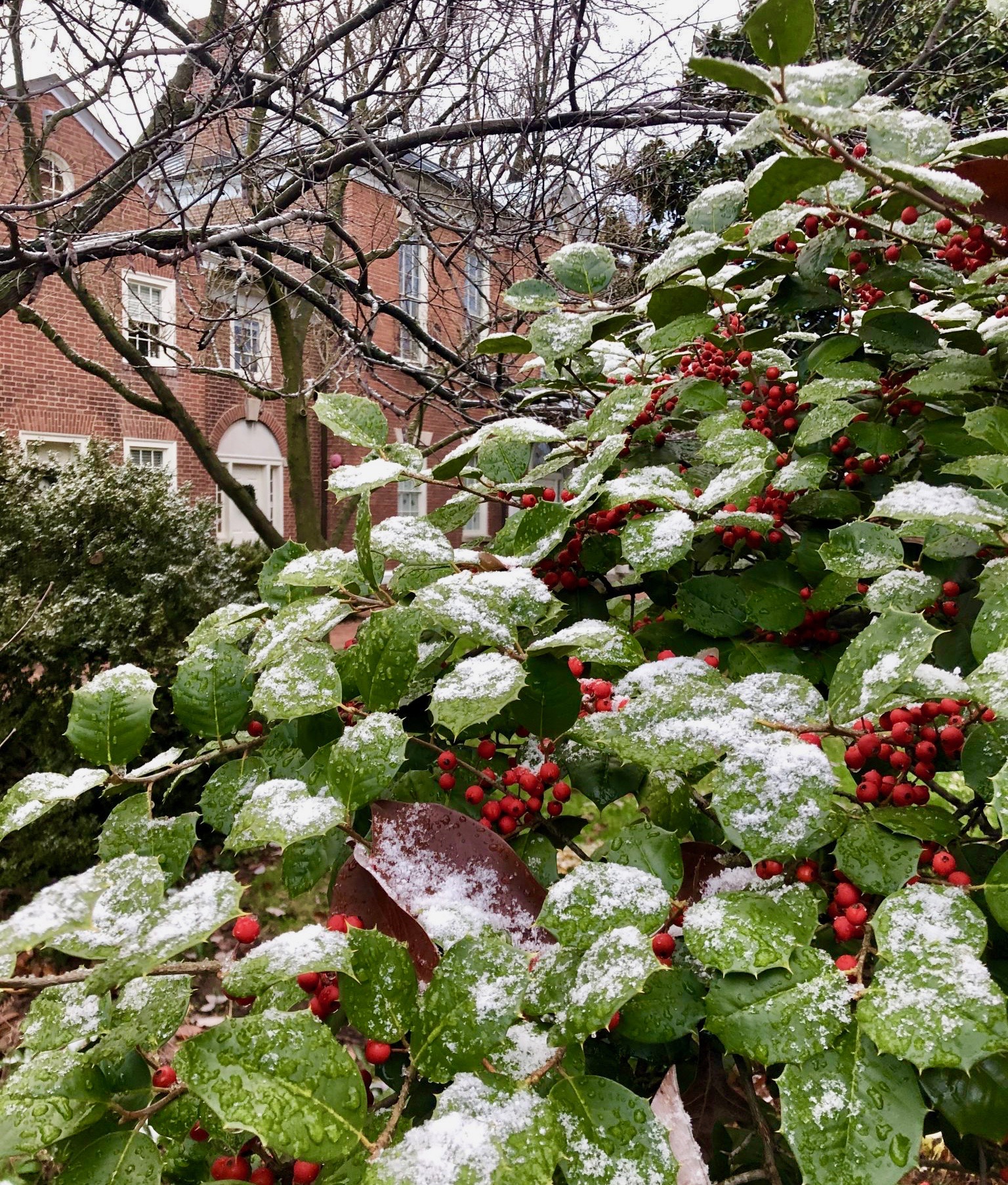 Christmas at Dumbarton House