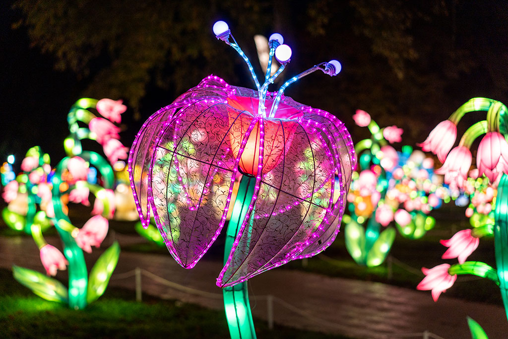 Winter Lanterns