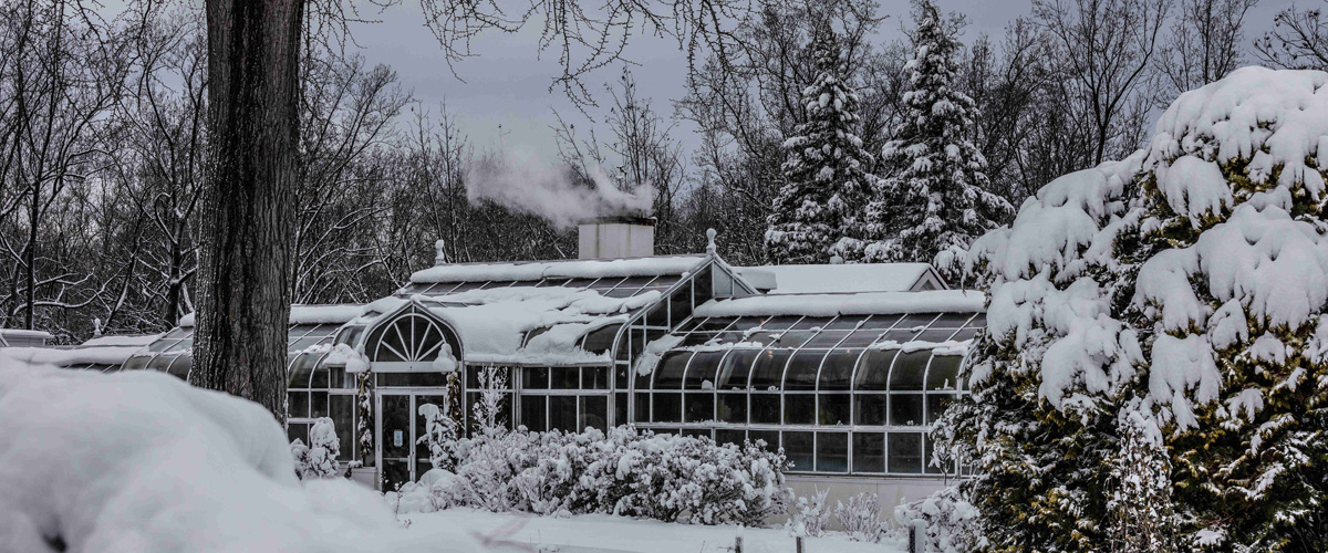 Hillwood Winter Garden