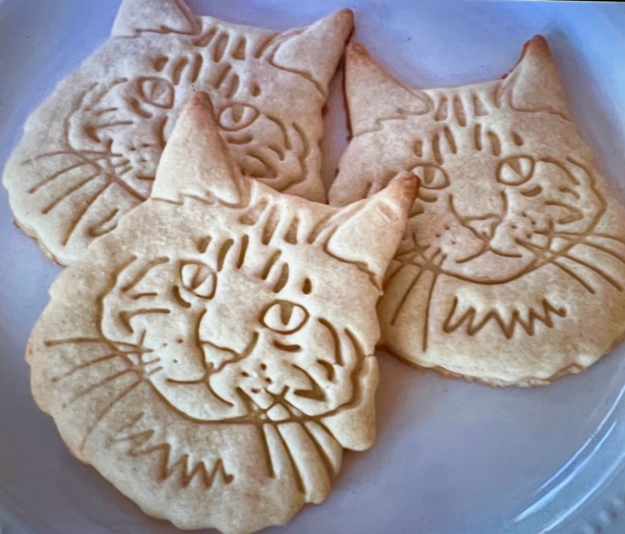 Maine Coon cat cookies