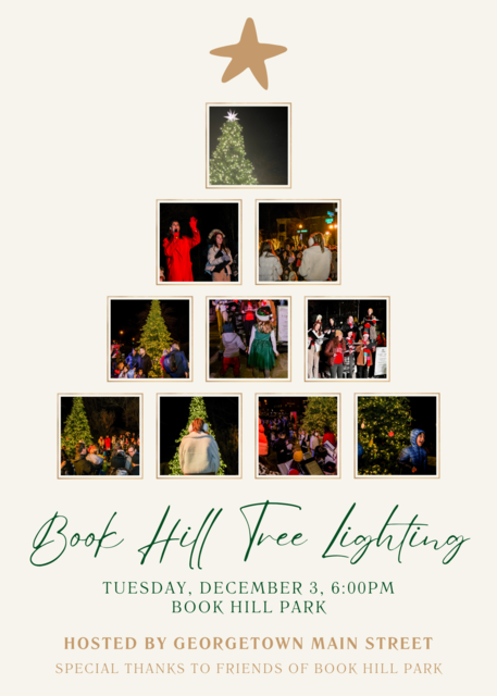 Book Hill Tree Lighting