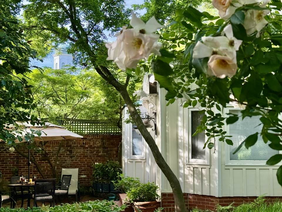 Constance Chatfield-Taylor's Georgetown Garden
