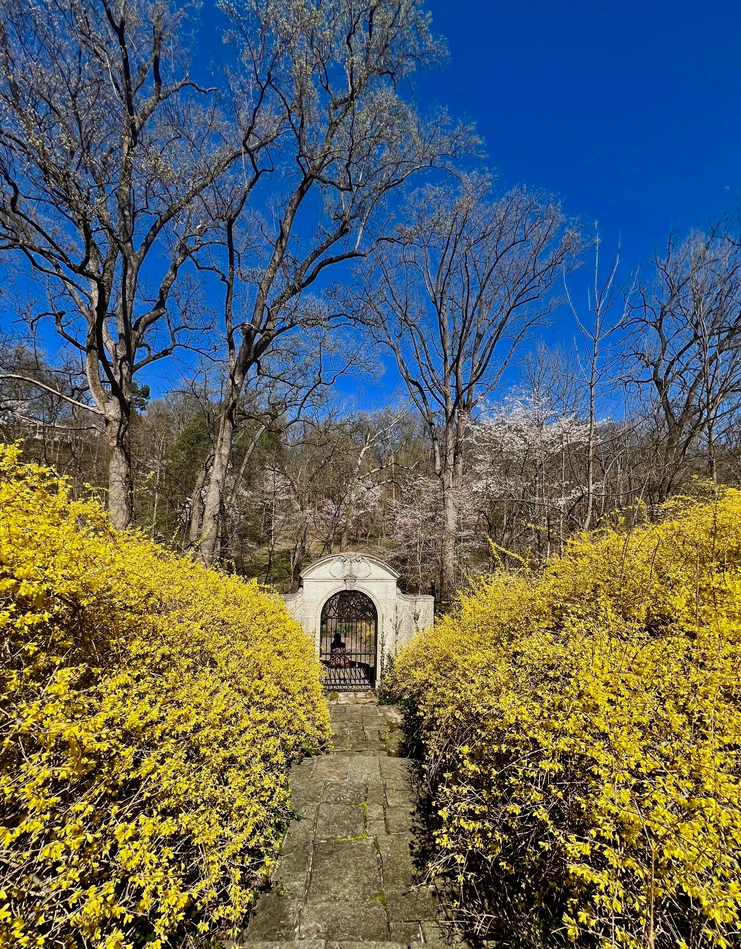 Dumbarton Oaks