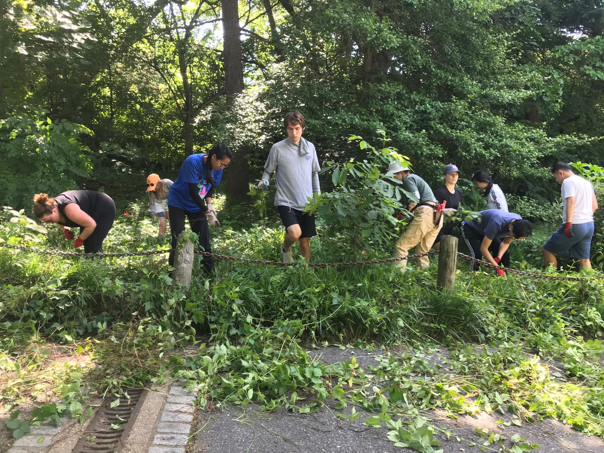 Tudor Place weeders
