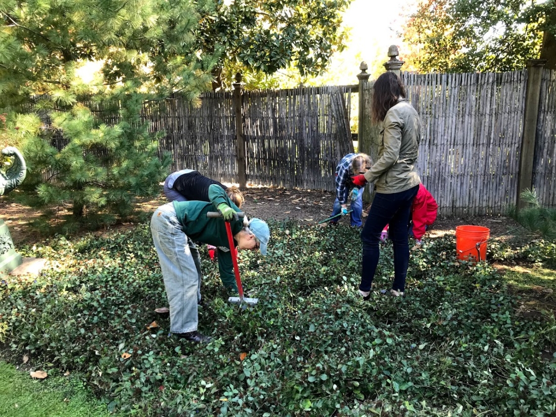 Weekend weeders
