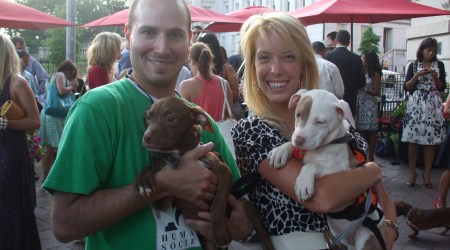 The Georgetown Dish image