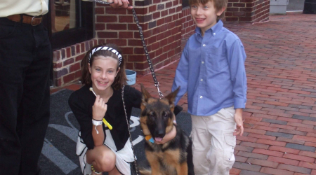 The Georgetown Dish image